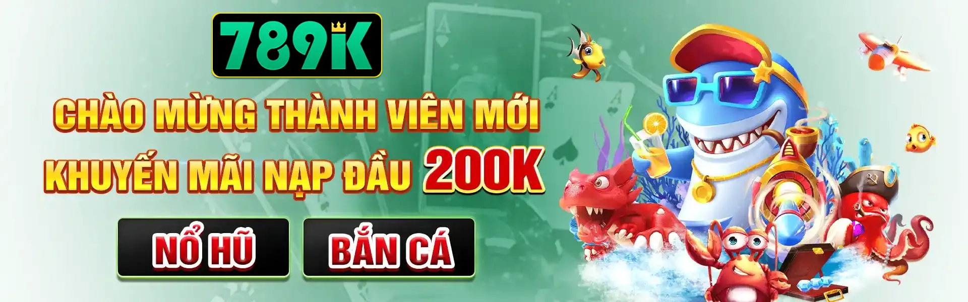 banner 789k