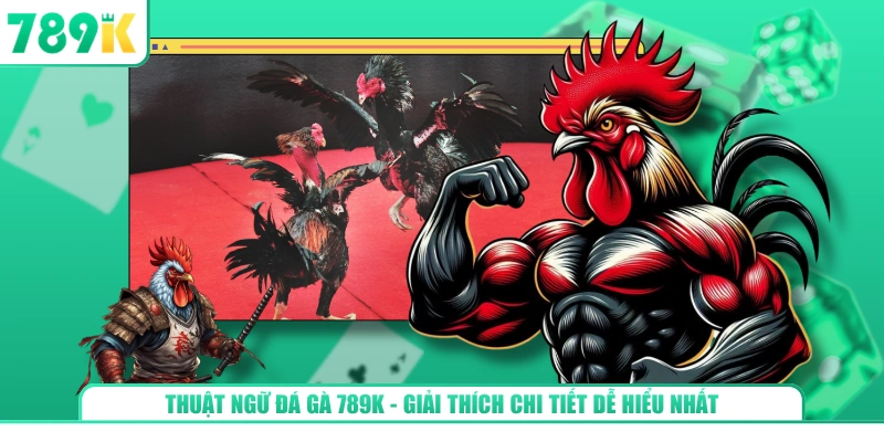 Thuật Ngữ Đá Gà 789K